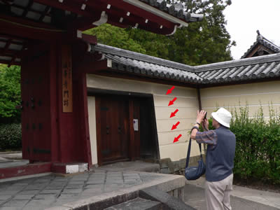 定規筋@法華寺