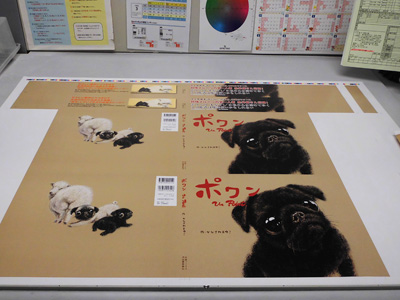 表紙カバーと帯です